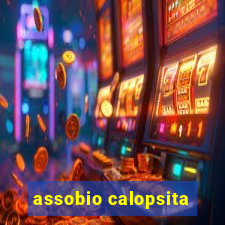 assobio calopsita